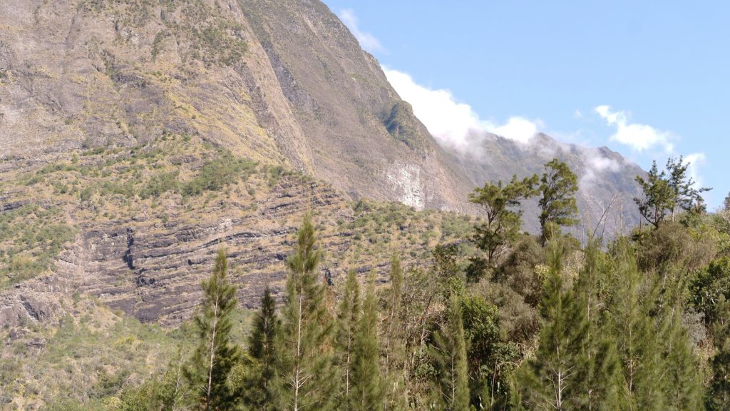 Plongez au cœur de l'aventure avec le canyon Fleur Jaune à la Réunion