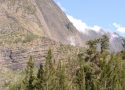 Plongez au cœur de l'aventure avec le canyon Fleur Jaune à la Réunion