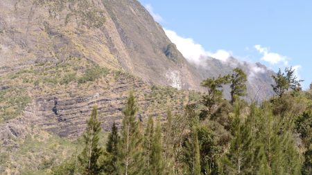 Plongez au cœur de l'aventure avec le canyon Fleur Jaune à la Réunion