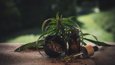 Les grossistes en CBD : des alliés précieux pour les commerces physiques et virtuelles