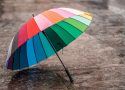 Compact, pliant ou automatique : quel parapluie pour femme est fait pour vous ?