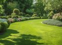 Aménagement extérieur : conseils pour un gazon parfait et un jardin harmonieux
