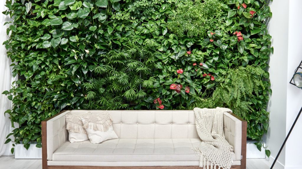 Aménager vos bureaux et votre maison avec des plantes pour une meilleure qualité de vie