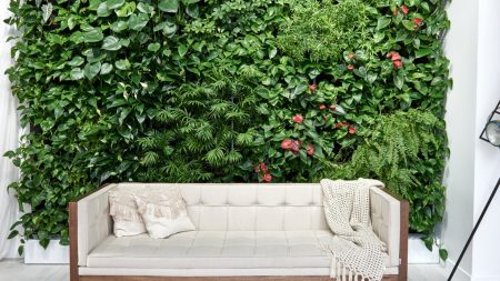 Aménager vos bureaux et votre maison avec des plantes pour une meilleure qualité de vie