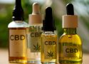 Boutique de CBD en France : le guide pour bien consommer
